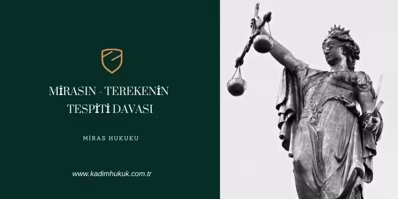 terekenin tespiti davasi nedir