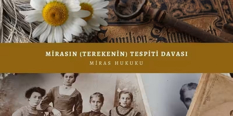 terekenin tespiti davasi