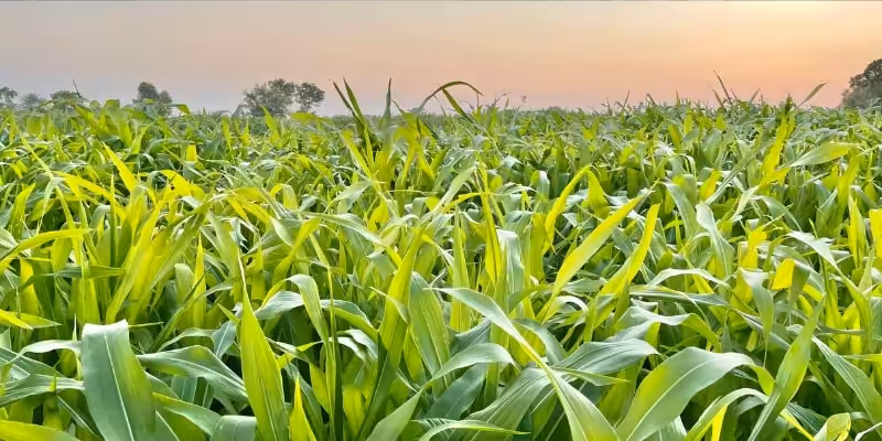 ecrimisil davasi tazminat miktari