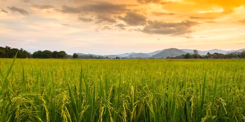 haksiz isgal tazminati