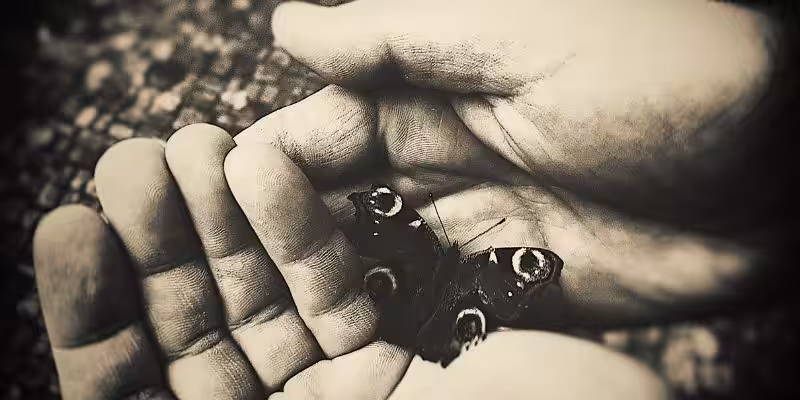 tapu iptali ve tescil davasi nerede acilir