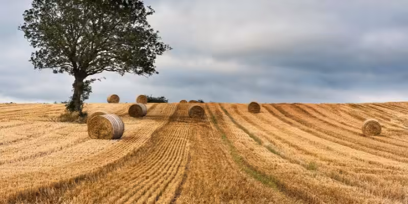 gecit hakki vermek zorunda mi