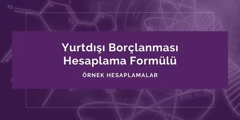yurtdışı borçlanmasi hesaplama formulu