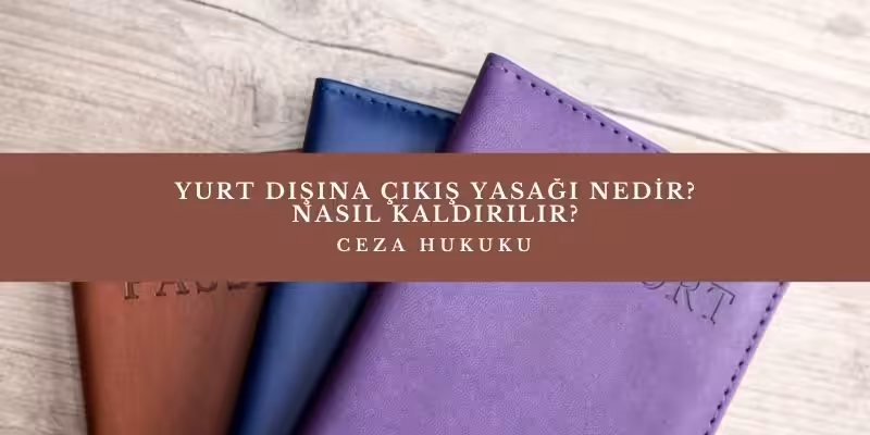 yurt disina cikis yasagi nedir