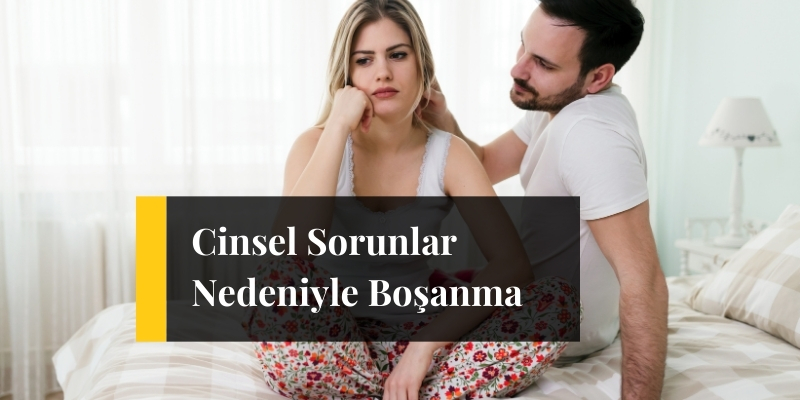 Tasodifan jinsiy aloqa qildi 70-yillar Sochli Pussy Lesbian Porno