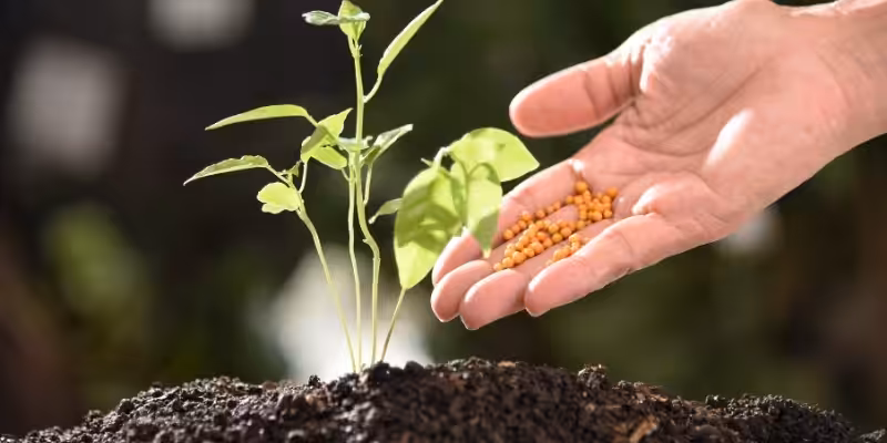 sahte gubre satisi suc mu