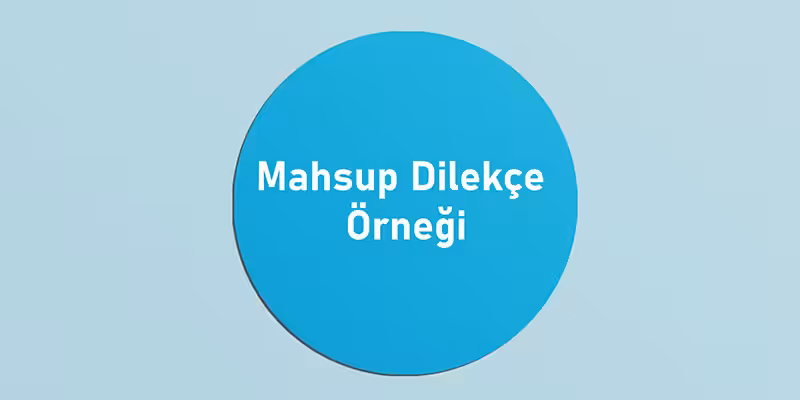 Ceza Hukukunda Mahsup - TCK 63. Madde 3 mahsup dilekce ornegi