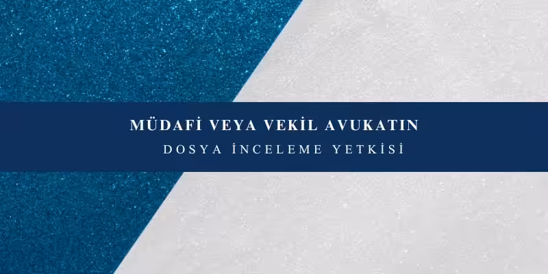 avukatin dosya inceleme yetkisi